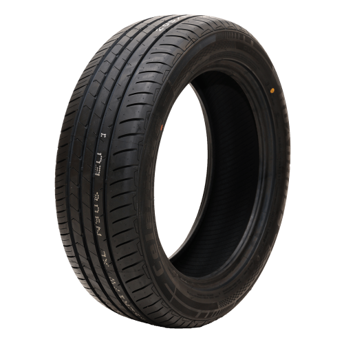 Pneu 205/55R17 Roadboss Celeritas N906 95W XL